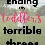Toddlers love control and seem to run on emotional crack. Some days are so bad that I am convinced we need to see a specialist and that there is no way everyone else&rsquo;s toddler is like mine. It took me longer than I would like to admit to realize that I did not know how to parent my toddler. Here are strategies to get you through the day.