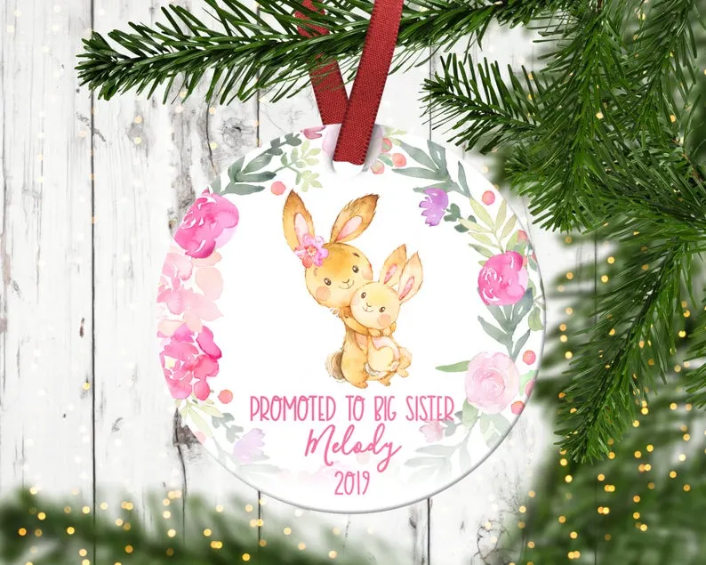 big sister pregnancy announcement ideas (6)